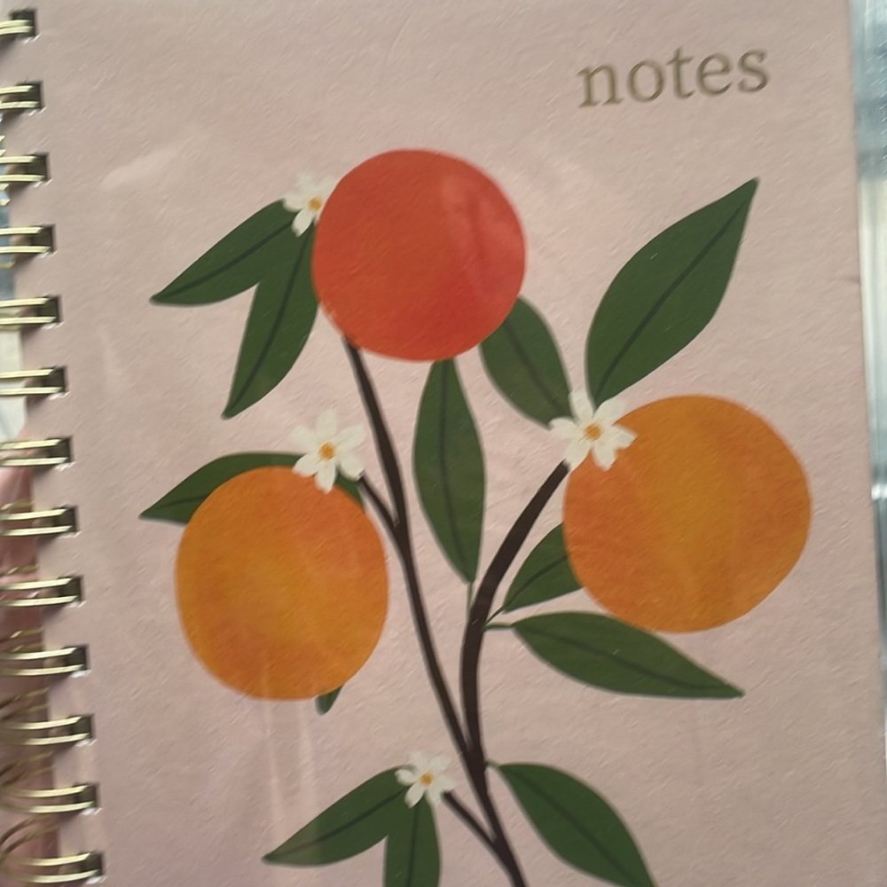 New in package eccolo oranges fruit mini lined gold spiral notebook journal - Picture 5 of 5